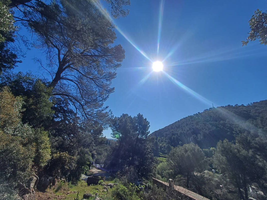 Terrain à SOLLIES-VILLE