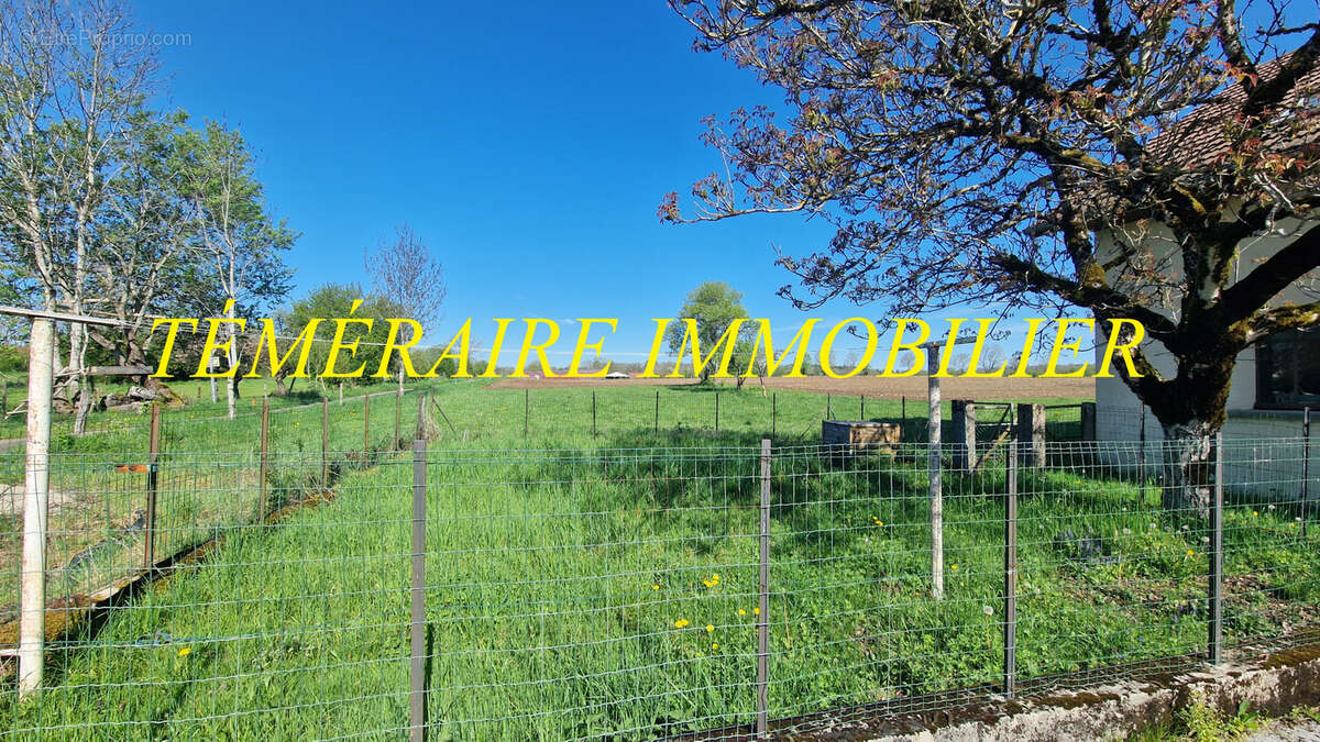 Maison à MONT-SUR-MONNET