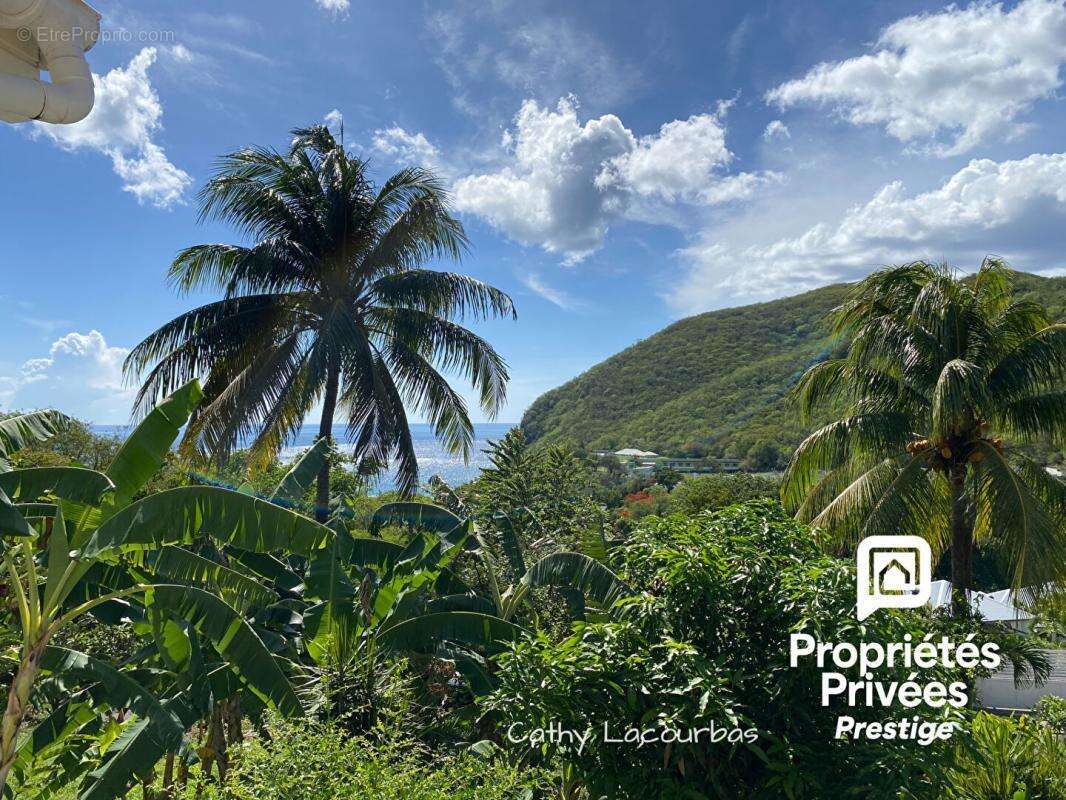 Rare ! Propriété à Deshaies avec grand jardin et vue mer - photo 13