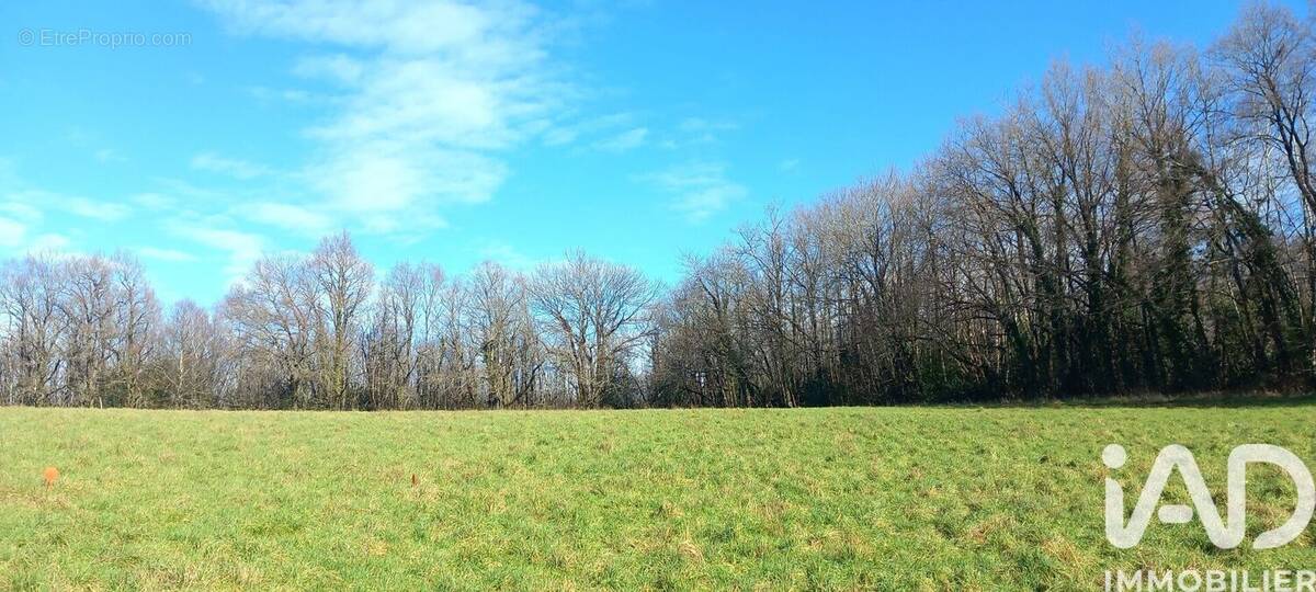 Photo 1 - Terrain à SAINT-YRIEIX-LA-PERCHE