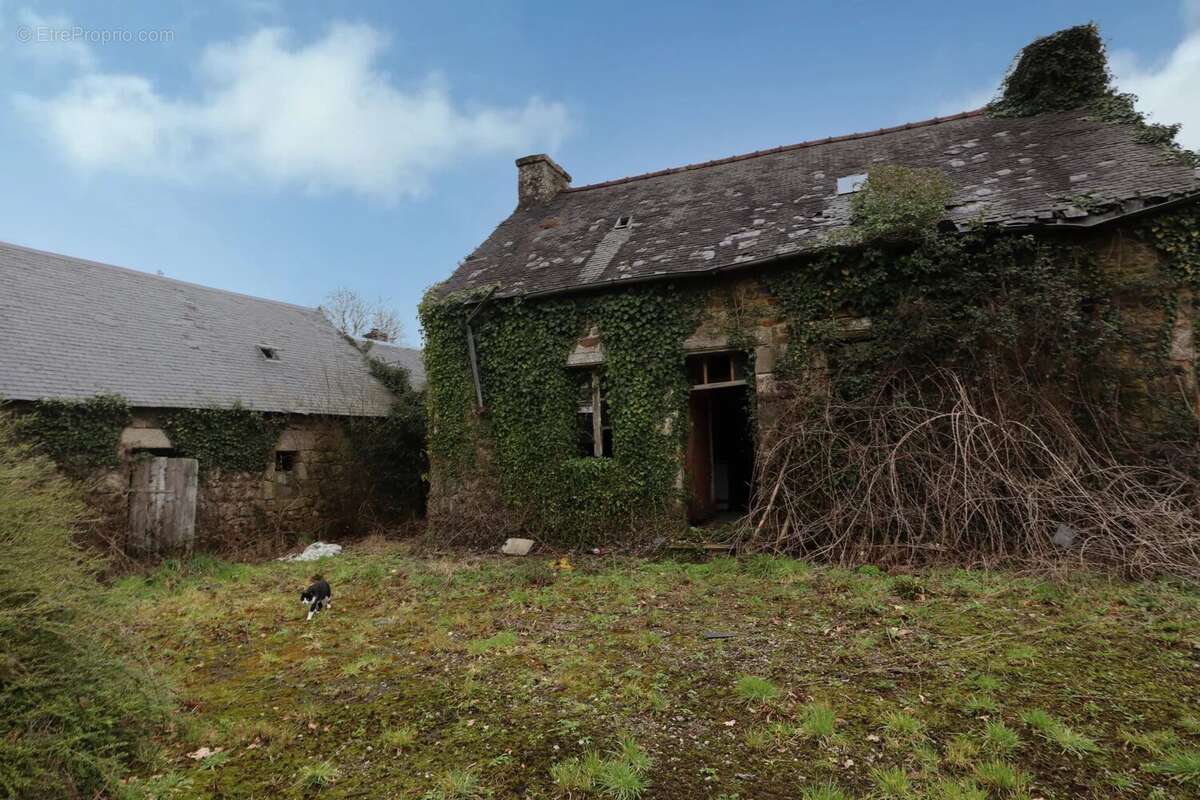 En campagne de LOCARN - photo 2