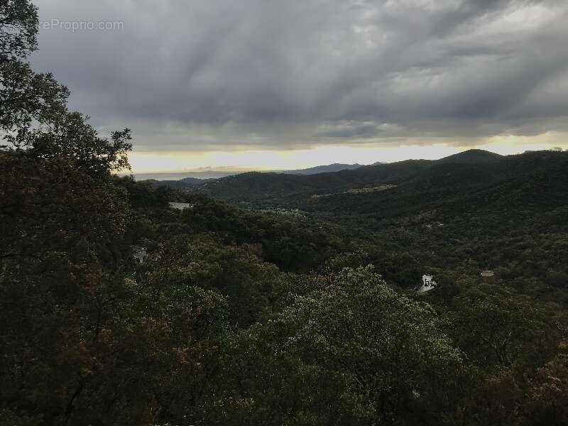 Terrain à BORMES-LES-MIMOSAS