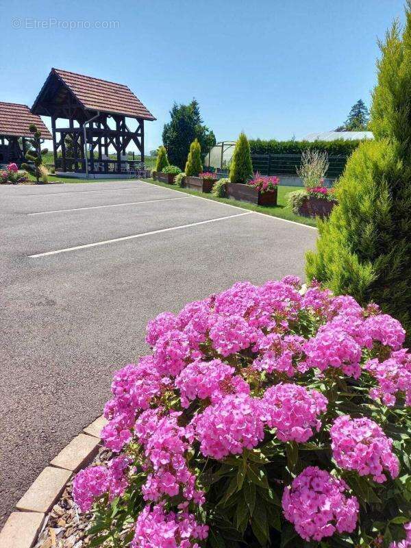 Près de Benfeld, Domaine de gîtes rénové – Fort potentiel touristique - photo 13
