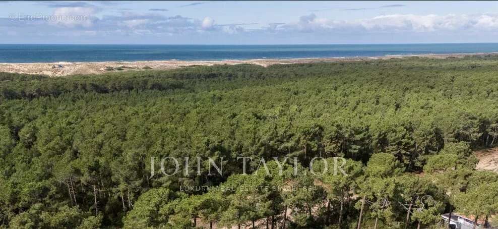Maison à LEGE-CAP-FERRET