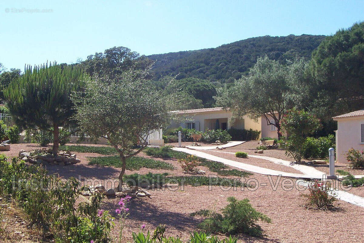 Maison à PORTO-VECCHIO