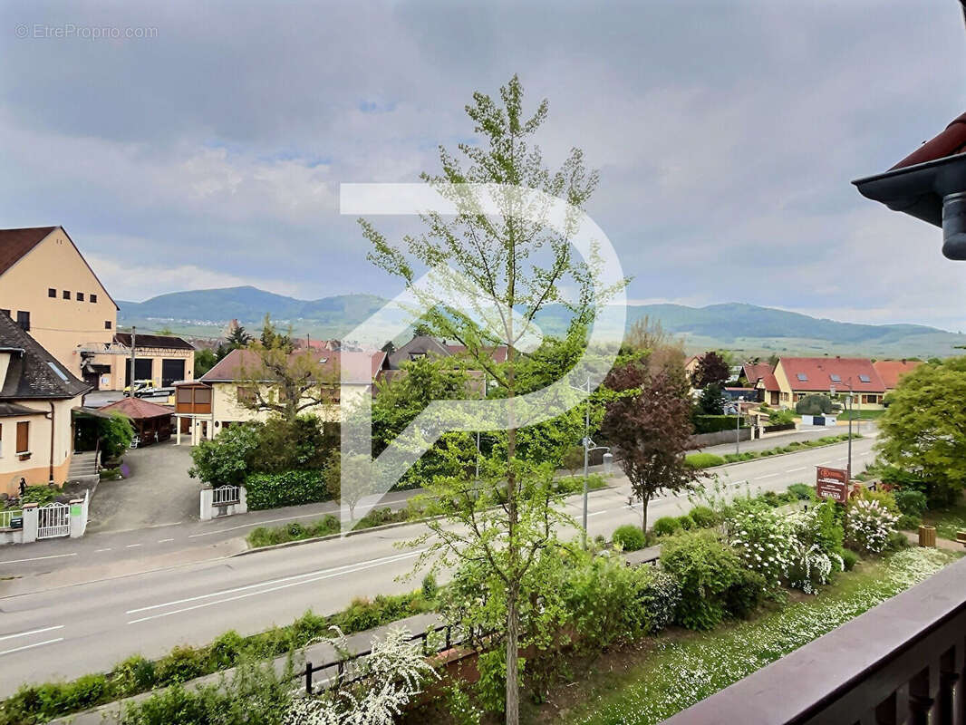 Appartement à EGUISHEIM