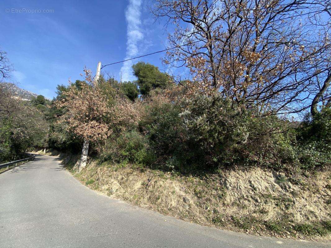 Terrain à MENTON