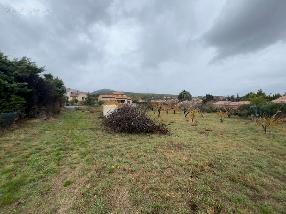 Terrain 2000 m² à Caunes-Minervois  - photo 2