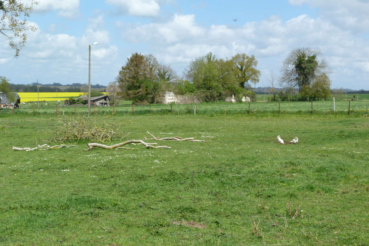 Terrain à SAINTE-MARGUERITE-SUR-DUCLAIR