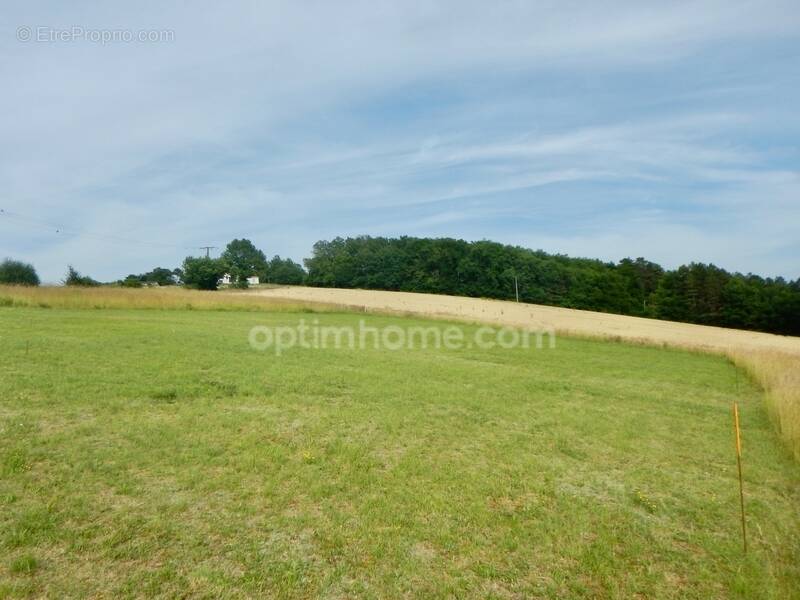 Terrain à bâtir viabilisé sur la commune de SANILHAC (24) - photo 3