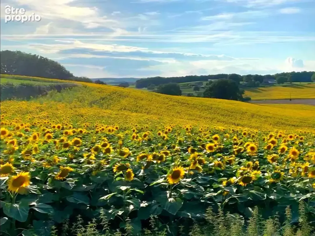Belle ferme en pierre avec appartement d'amis, grange et vue imprenable - photo 17