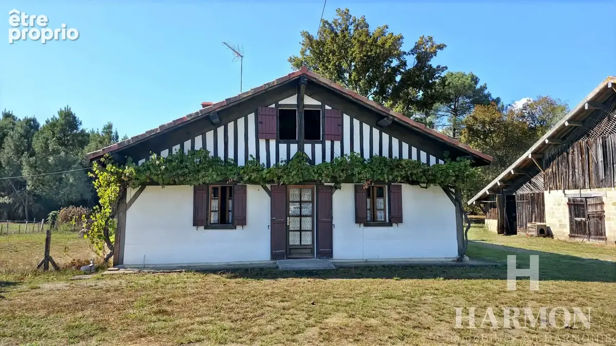 Maison landaise à colombages – Grand airial de plus de 8 000 m² et nombreuses dépendances - photo 4