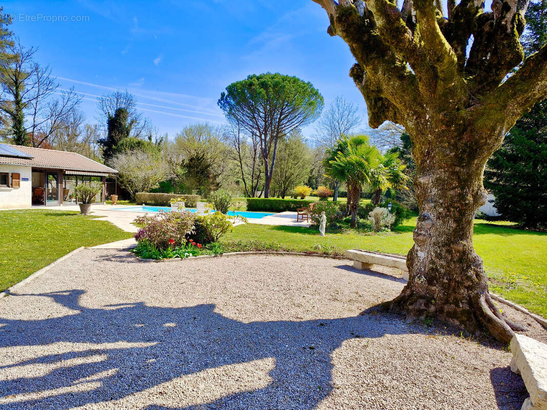 Maison à VILLIEU-LOYES-MOLLON