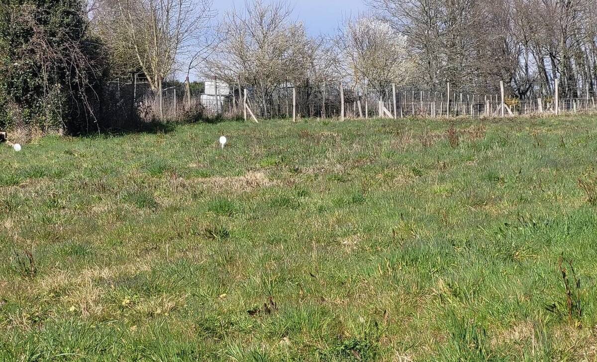 Terrain à SAINT-CESAIRE