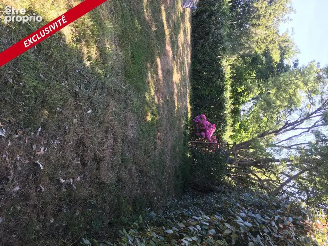 Terrain de loisirs, borné et viabilisé- GUISSENY 29880 - photo 3