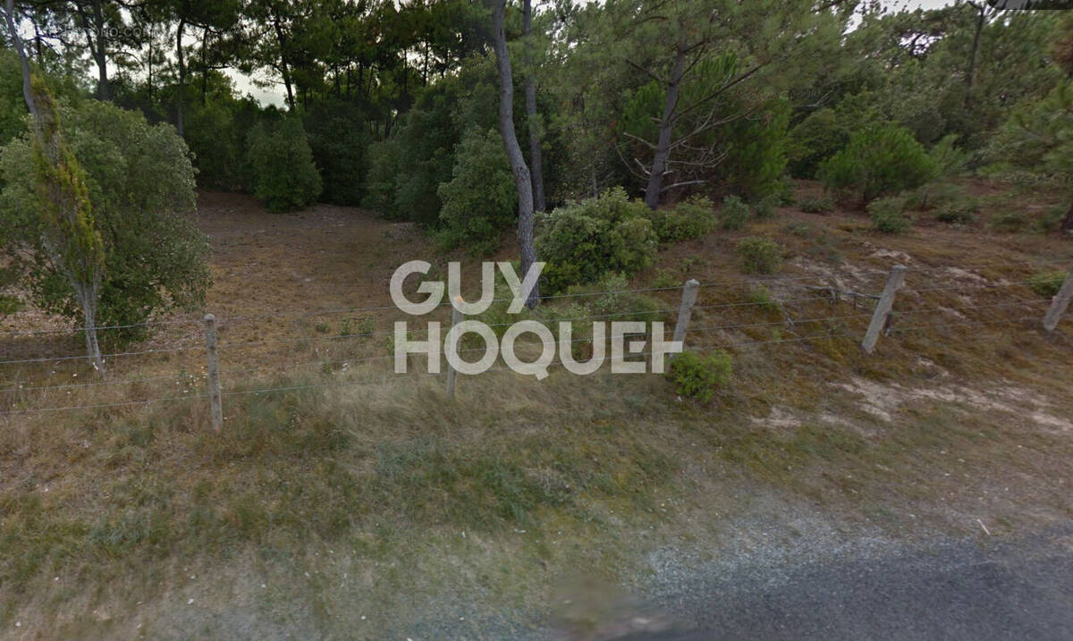 Terrain à SAINT-HILAIRE-DE-RIEZ