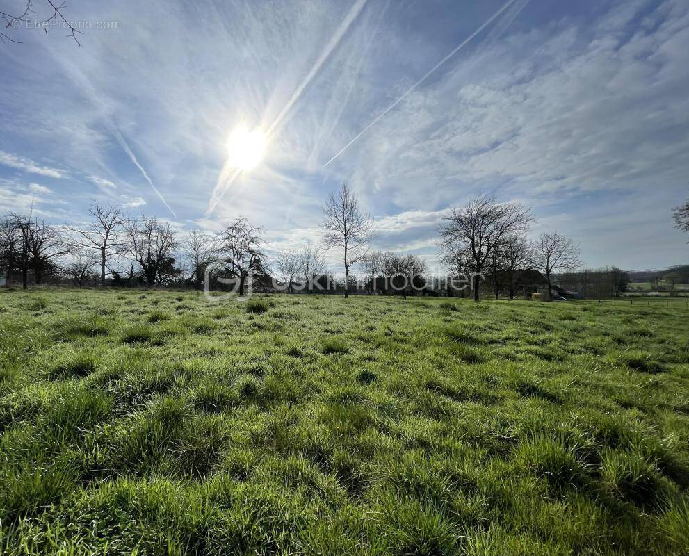 Terrain à LONGEVILLE-SUR-LA-LAINES
