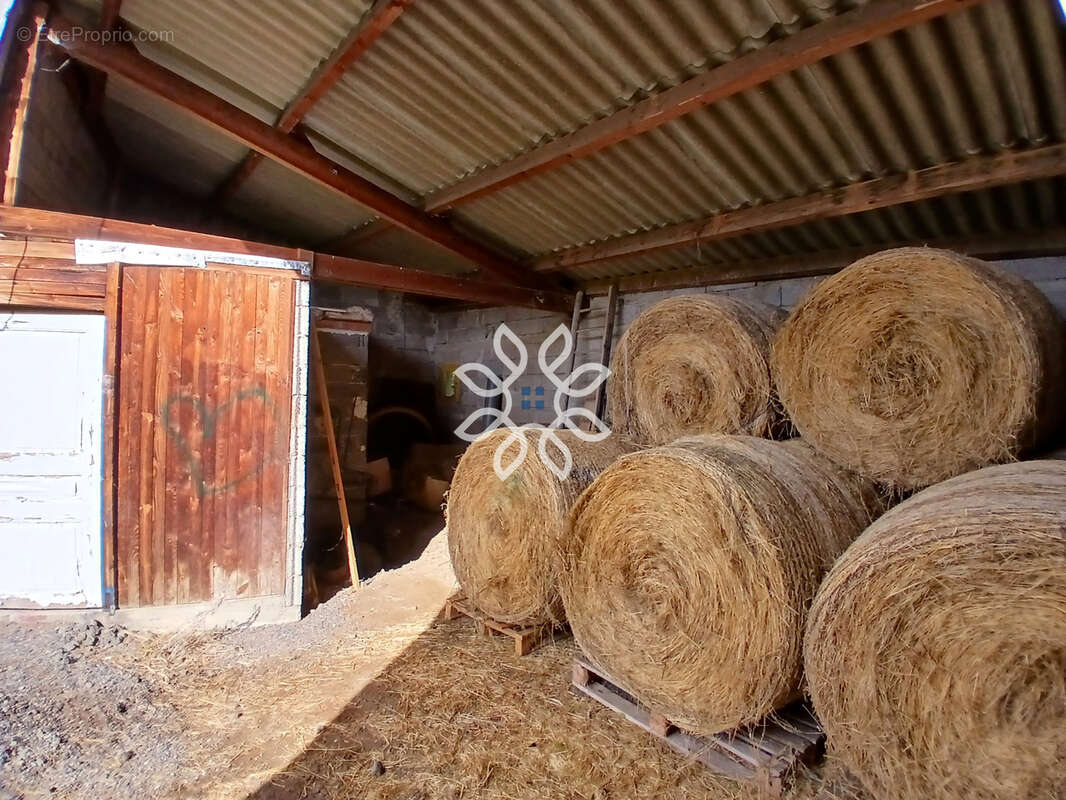 Maison avec dépendances et terrain à Javaugues - photo 13