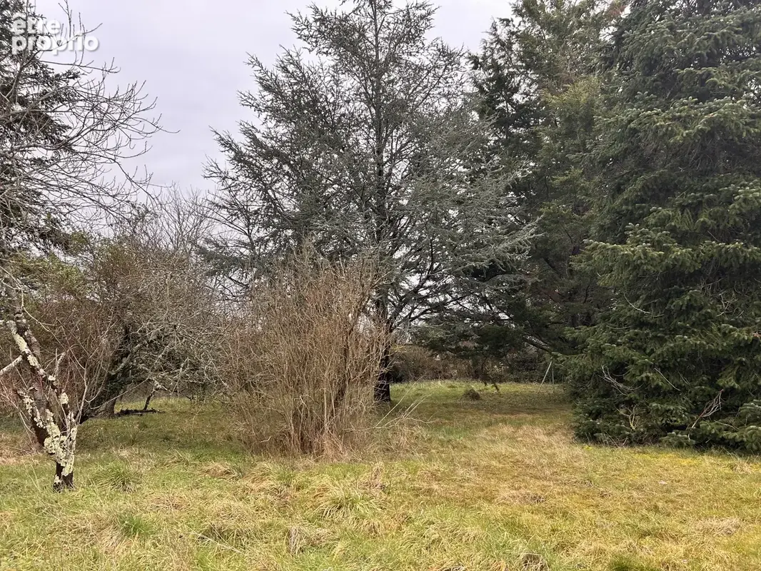 A VENDRE - Maison 4 pièces avec garage et jardin à Chazelet - photo 4