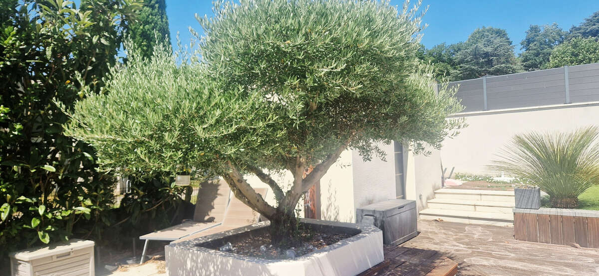 Maison à ECULLY