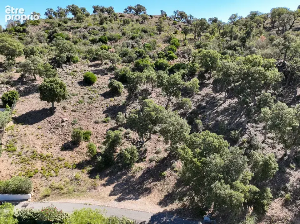 Terrain 1 434 m² à vendre à Sainte-Maxime (83120) - photo 2