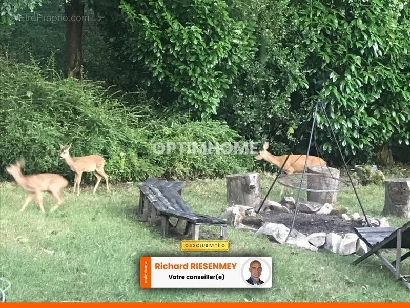 Maison à SAINT-CHERON