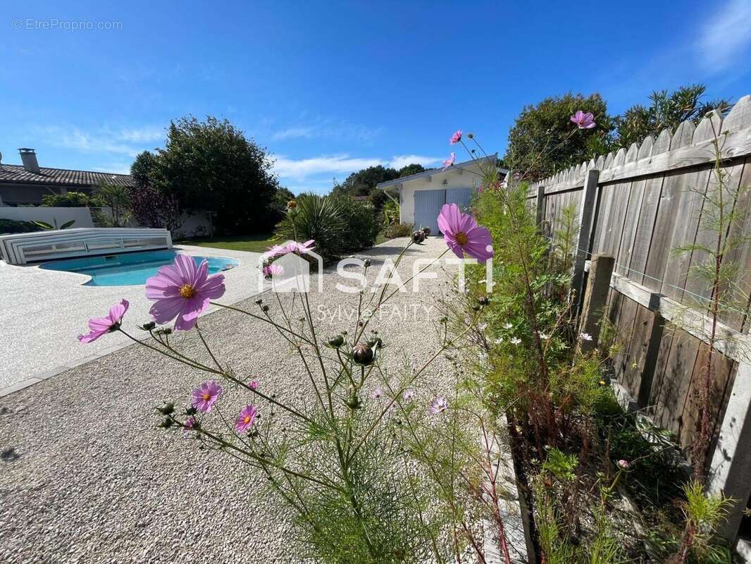 Photo 7 - Maison à LEGE-CAP-FERRET