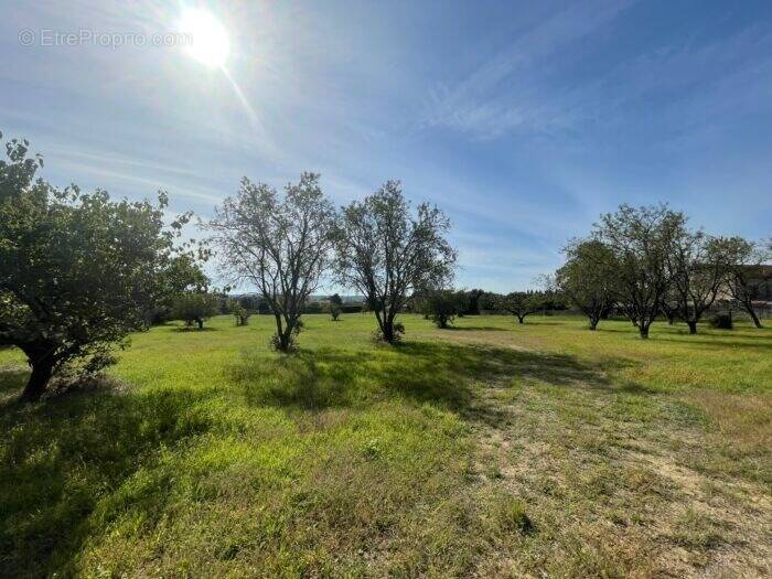 Terrain à UZES