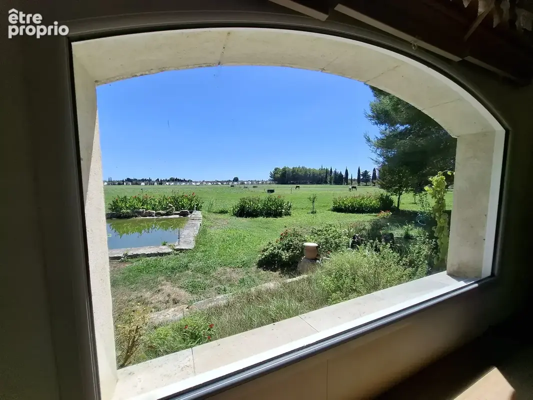 Domaine entre Alpilles et Arles - photo 19