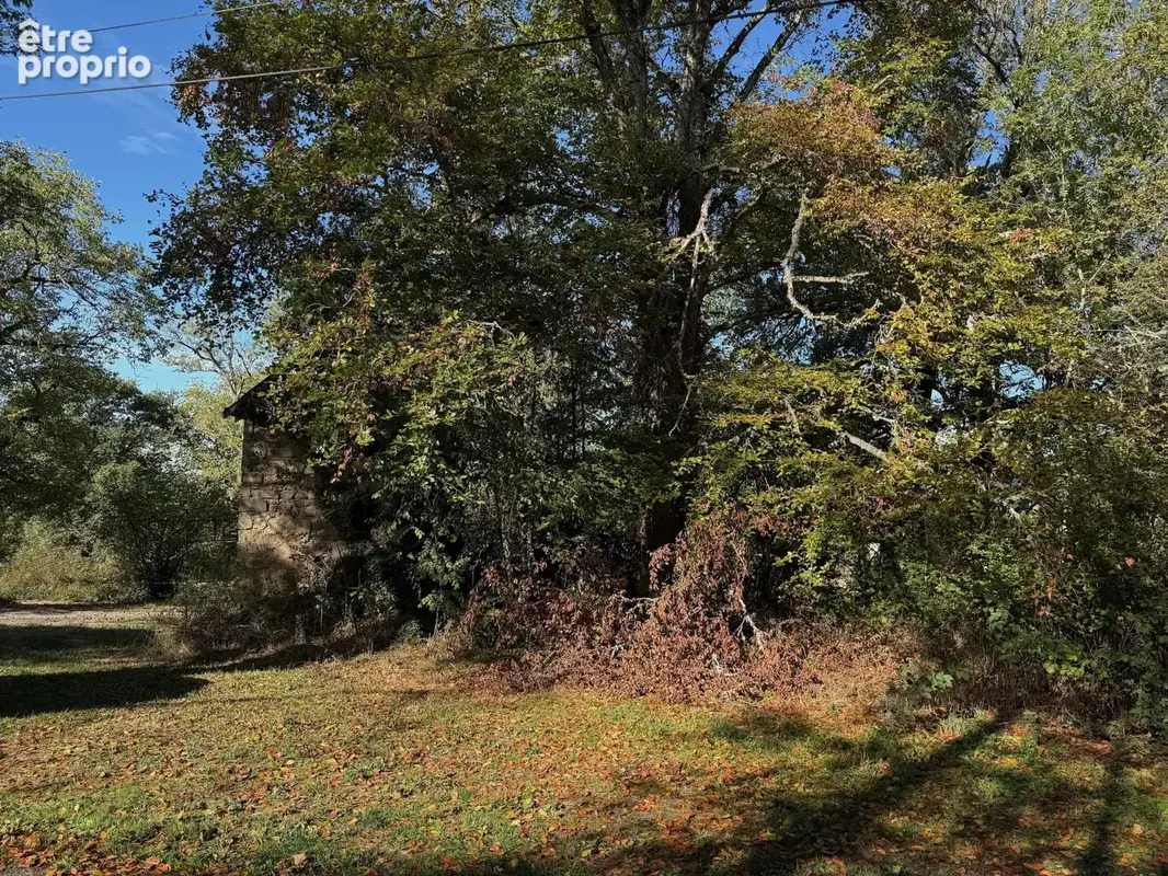 Auv 1209 : Charmante maisonnette, véranda, 2ème maison, ruine, terrain - photo 38