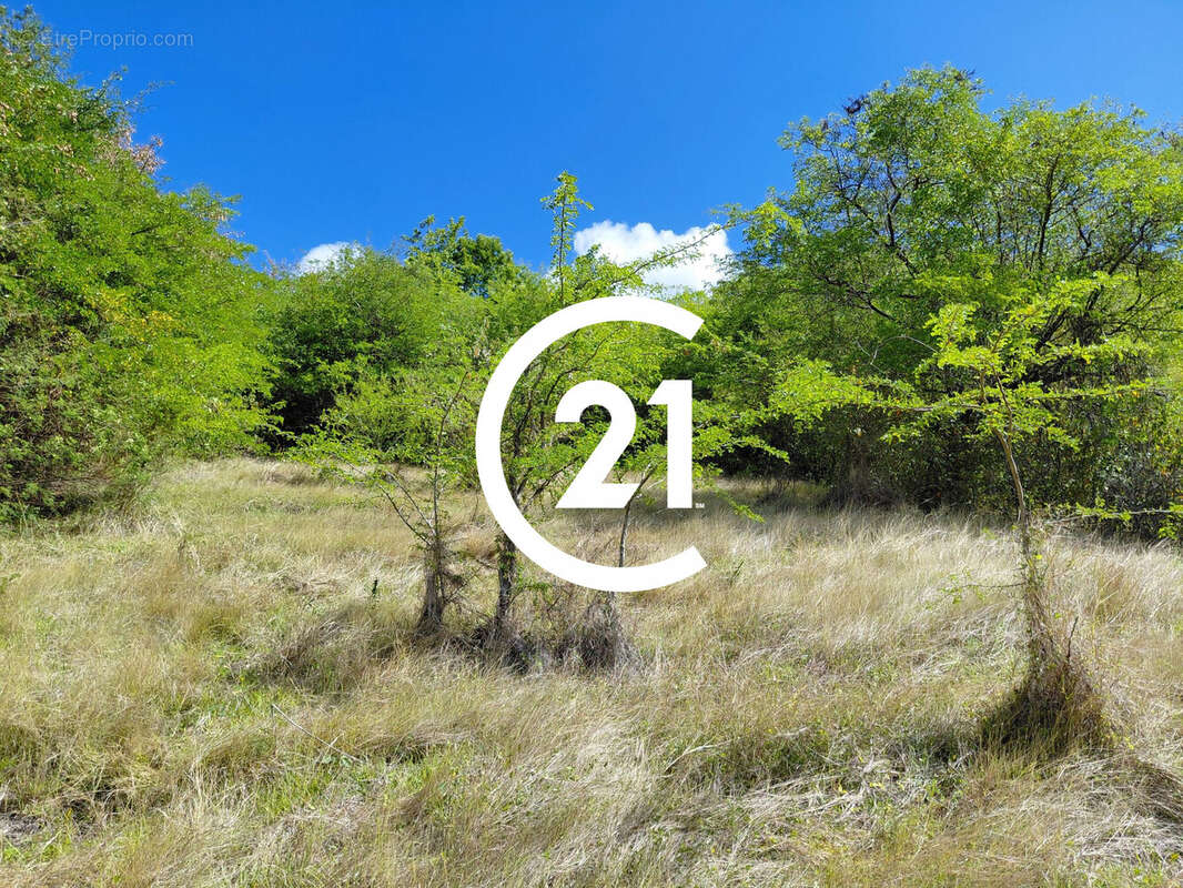 Terrain à SCHOELCHER