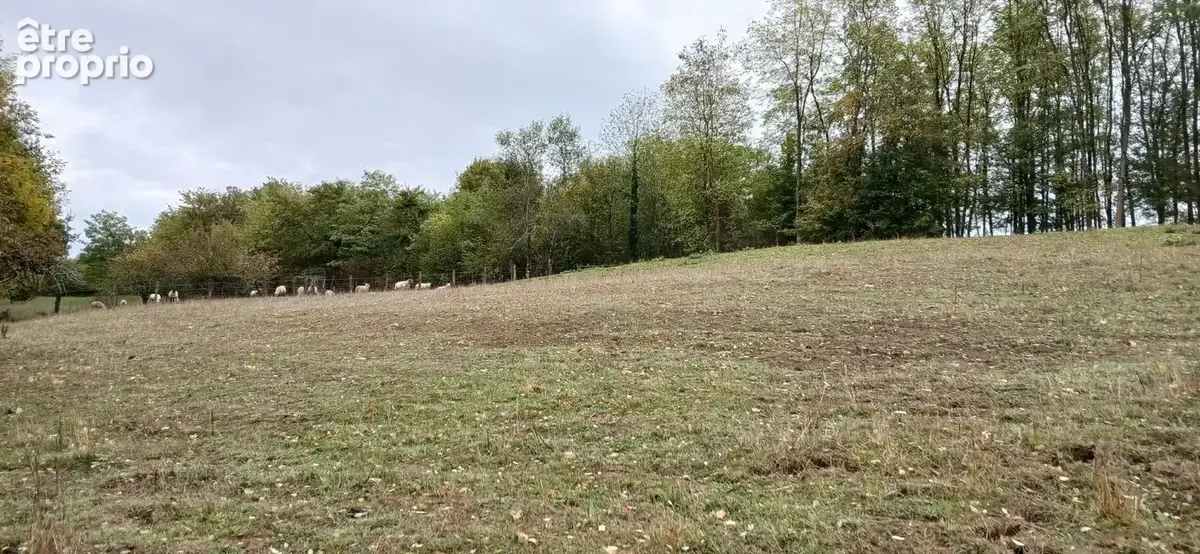 Au cœur de la campagne Haute Saônoise - photo 3