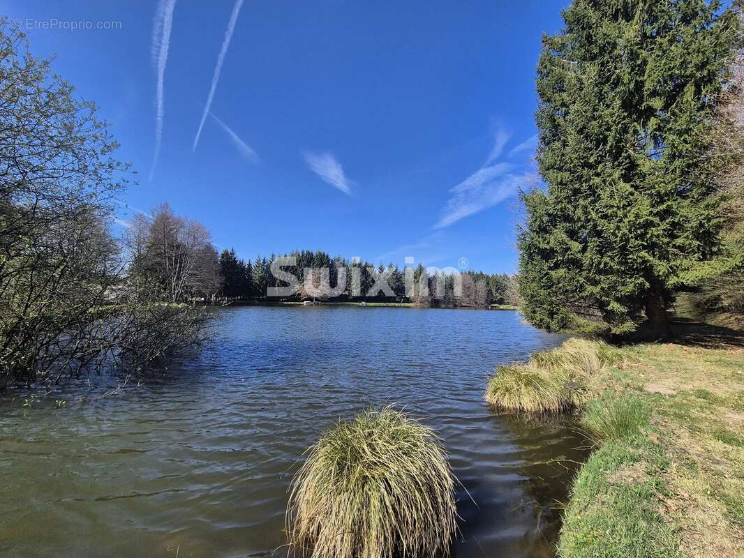 Terrain à LORMES