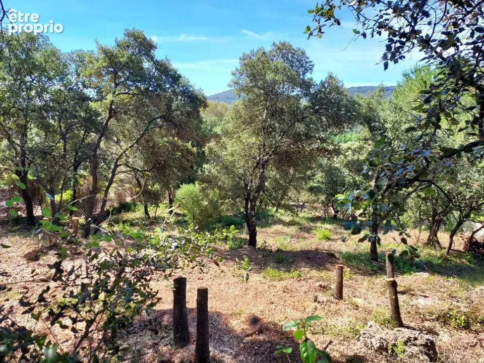 Terrain 950 m² à vendre à Sainte-Anastasie-Sur-Issole (83136) - photo 2
