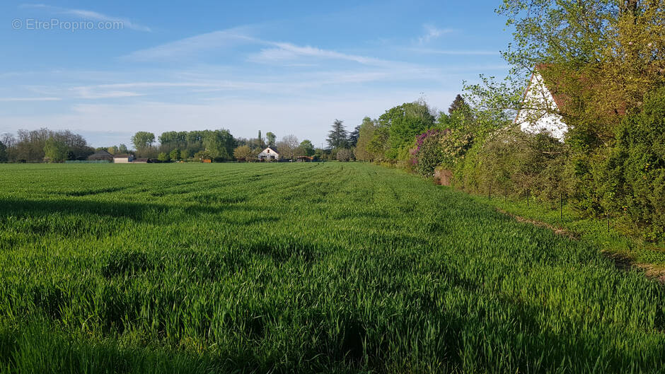 Terrain à BRAGNY-SUR-SAONE