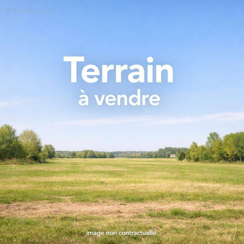 Terrain à LOIX