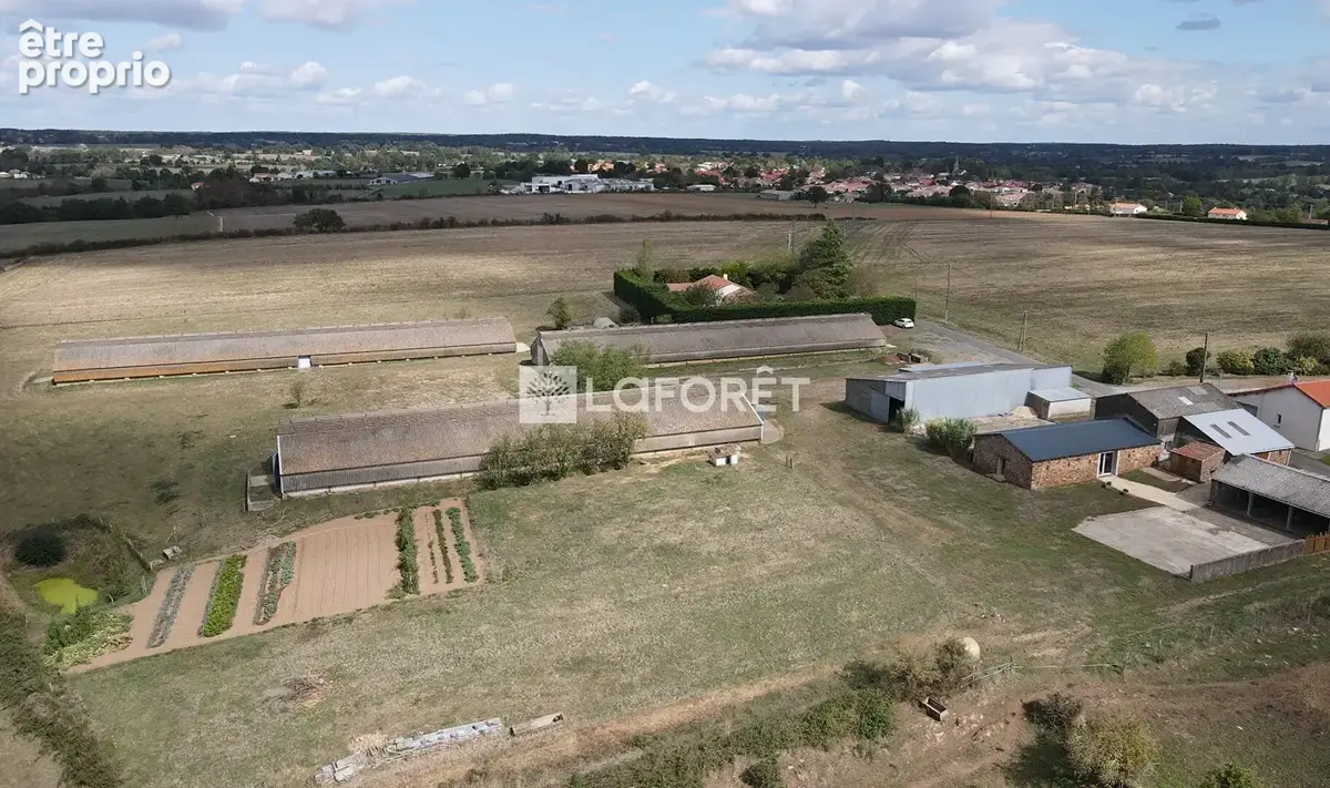 Photo Maison à Cholet au prix de 449 900€