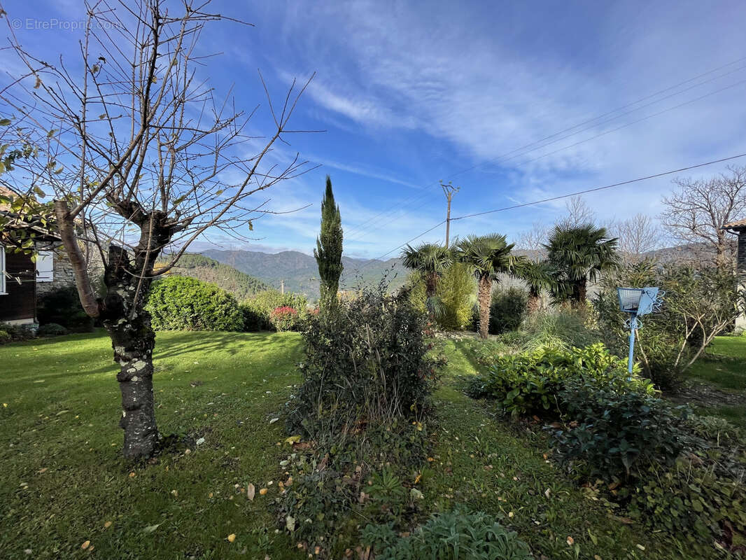 Propriété avec 2 habitations sur 4623 m2 de terrain avec piscine - photo 3