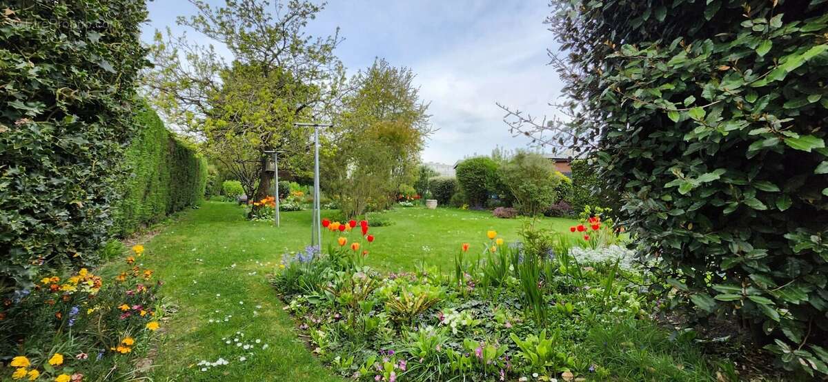 Jardin 1 - Maison à HENIN-BEAUMONT