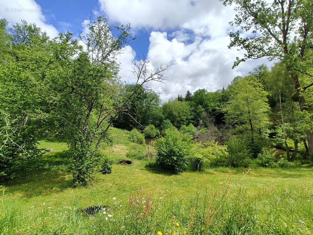 Maisonnette avec 2 étangs - photo 18