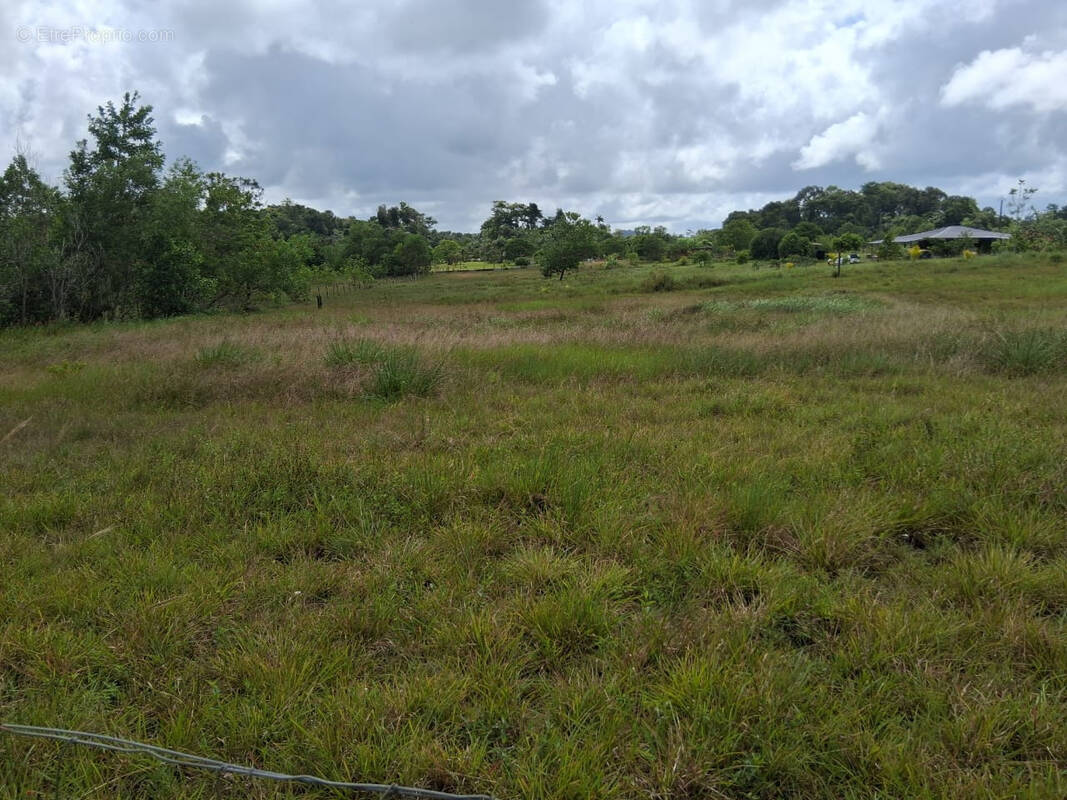 Terrain à KOUROU