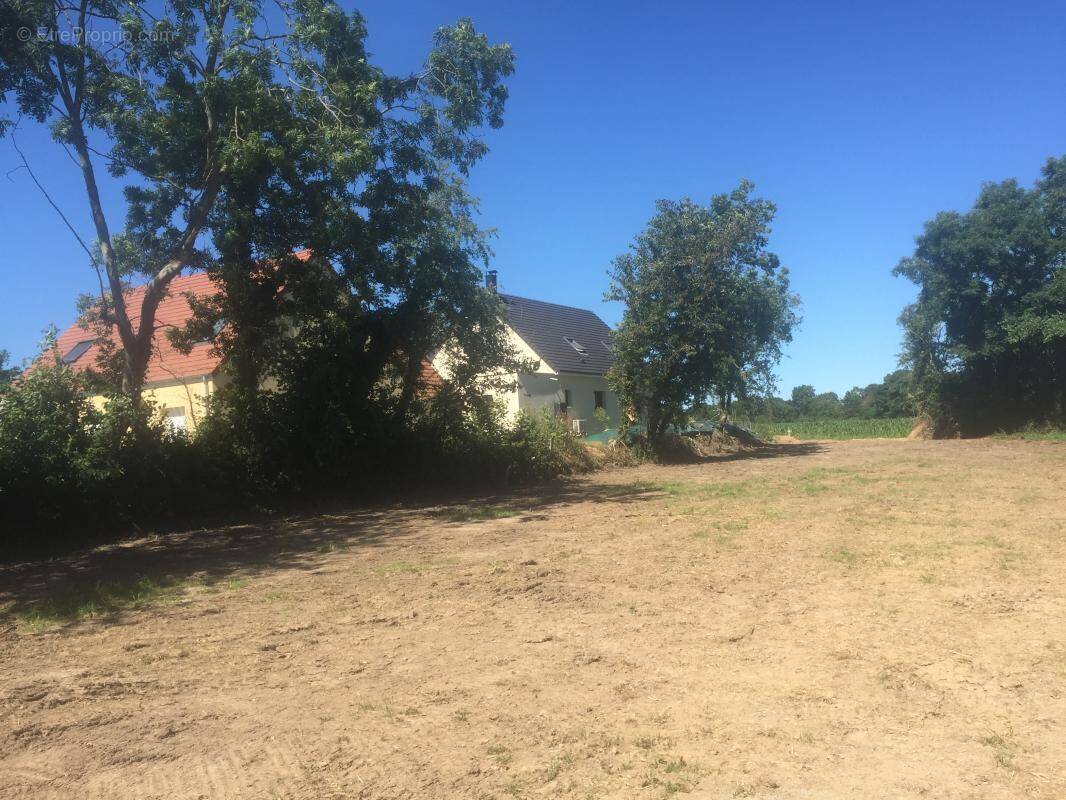 Terrain à CREULLY