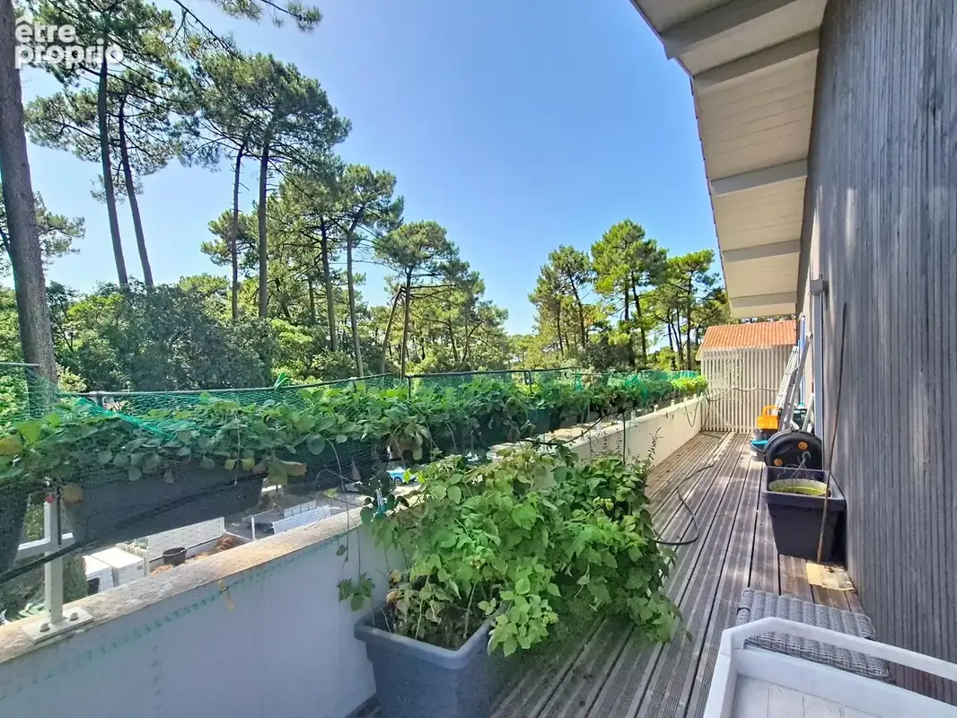 Appartement-toit d'exception : 88 m2 de plain-pied, terrasse 85 m2, esprit maison - photo 2
