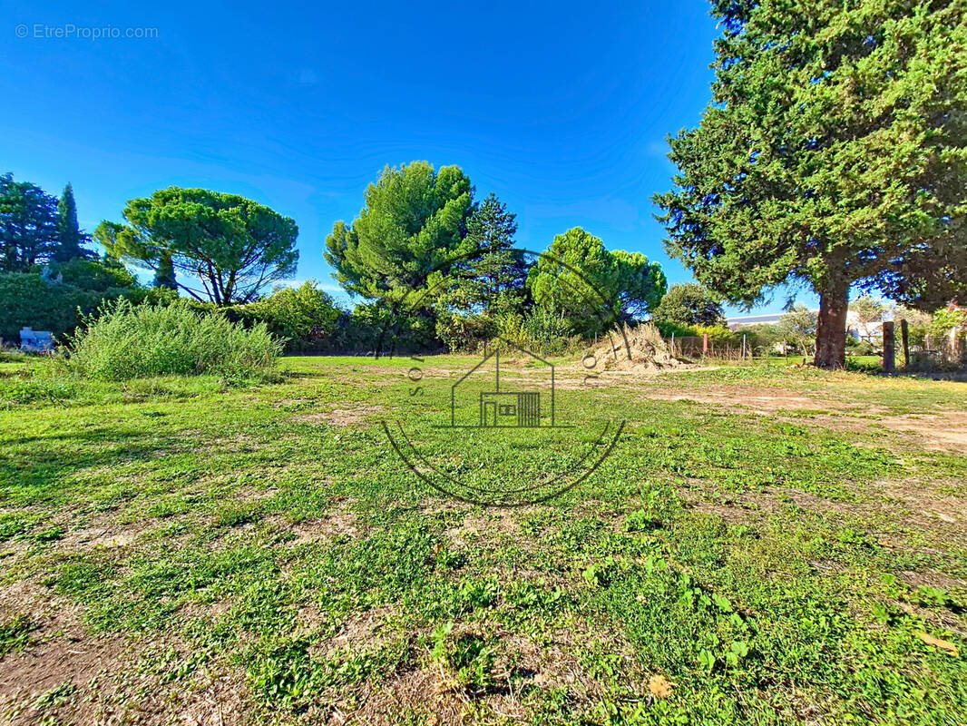 Terrain à CHEVAL-BLANC
