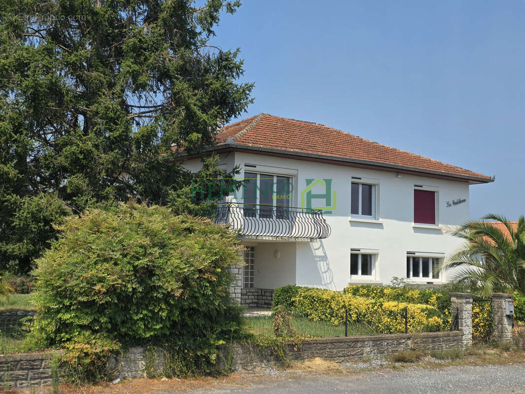 A proximité immédiate de St-Palais. - photo 18