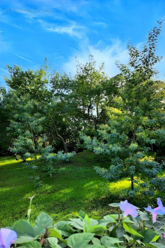 Maison à SAINT-GEORGES-D&#039;OLERON