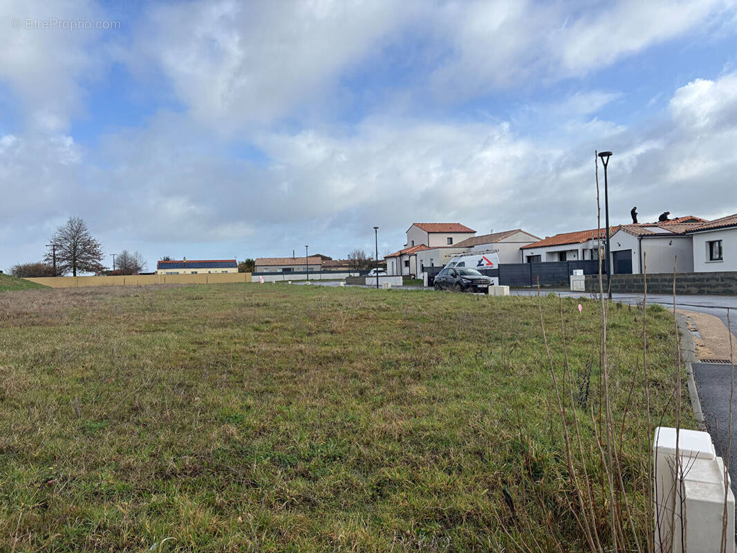 Terrain à LE LOROUX-BOTTEREAU