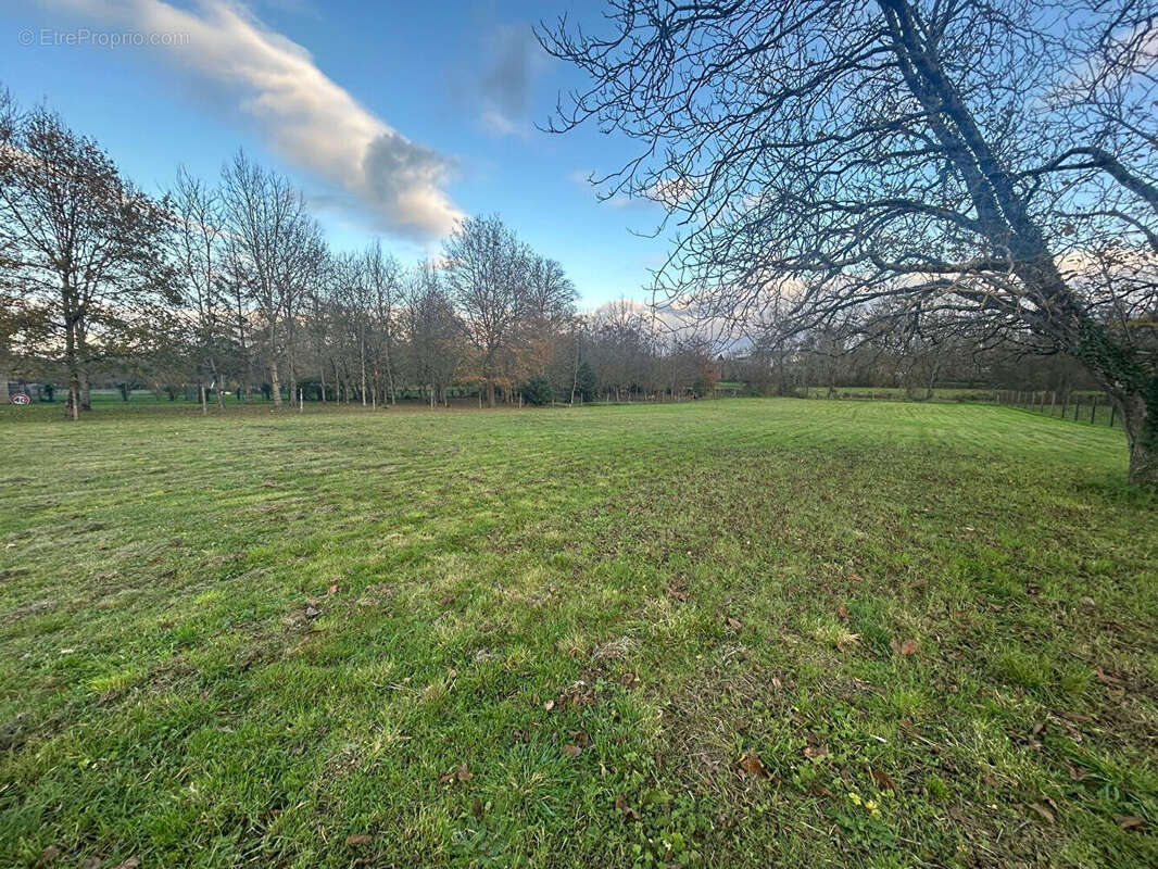 Terrain à LA GUERCHE-SUR-L&#039;AUBOIS