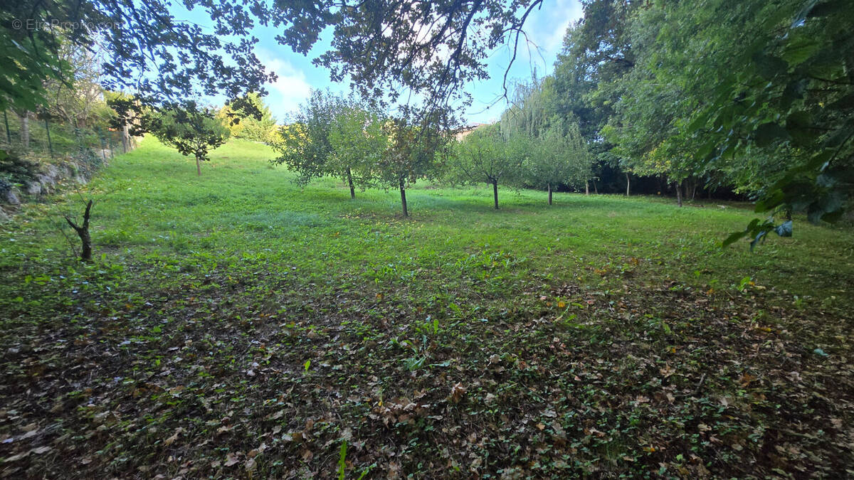 Terrain à MONDONVILLE