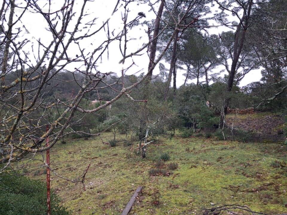 Terrain à GAREOULT